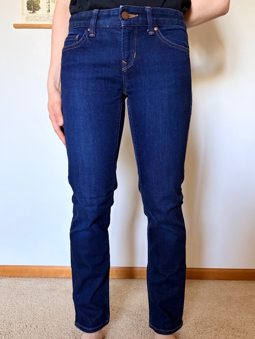 GAP Women's Navy Skinny Jeans